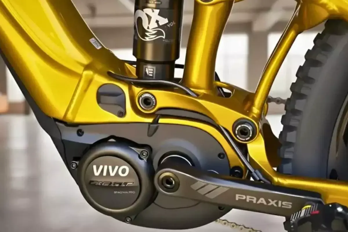 Vivo Electric Bicycle 2026 Launched